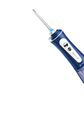 Water flosser category